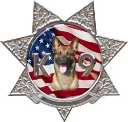 Sheriff decal reflective 12
