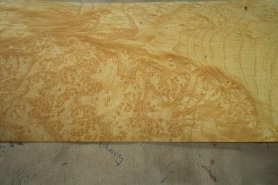 Ash burl veneer 24 @ 6'' x 14'' [1637]