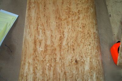 Kerlian birch burl veneer 15 @ 12'' x 20'' [1557]