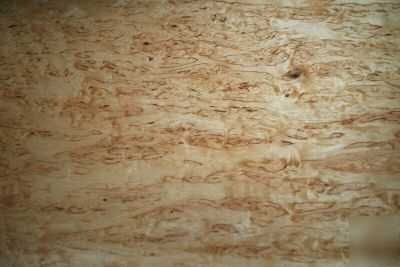 Kerlian birch burl veneer 15 @ 12'' x 20'' [1557]