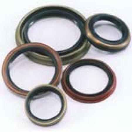 482163N national oil seal/seals