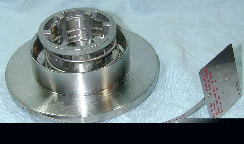 Check-all 4 in. check valve, hastelloy c style fvi 