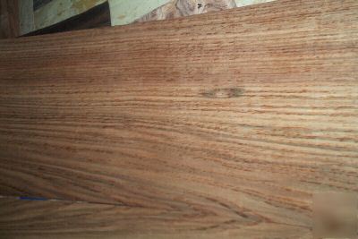 Etomie veneer 13 @ 9.5'' x 42'' sweeet [0629]