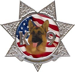 Sheriff decal reflective 6