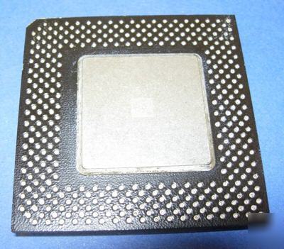 Celeron 36SL intel gold collectible FV524RX366