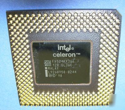 Celeron 36SL intel gold collectible FV524RX366
