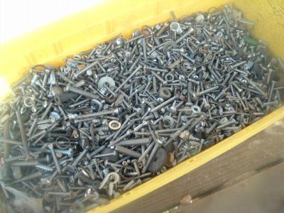  10 pounds of stainless steel screws free shipping